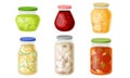 Glass Jars with Preserved Vegetables and Fruit Jam Vector Set Royalty Free Stock Photo