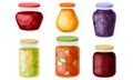 Glass Jars with Preserved Vegetables and Fruit Jam Vector Set Royalty Free Stock Photo