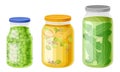 Glass Jars with Preserved Vegetables and Stewed Fruit Vector Set Royalty Free Stock Photo