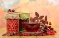 In glass jars rosehip berries, mountain ash and cup tea. Royalty Free Stock Photo