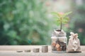 Glass jars, stacks of coins, lined up showing money growth