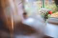 A glass jug with flowers in it stands on a white window sill, and outside the window you can see the home garden. Royalty Free Stock Photo