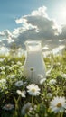 Glass jug with fresh milk on a field of green grass with daisies around