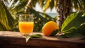 A glass juice beverage mango on a sweet of sea and refreshment trees tropical sunlight fresh