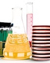 Glass lab-ware, test tubes, graduated cylinder, petri dishes