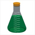 Glass laboratory chemical measuring flasks. with colorful liquids in realistic vector illustration set. Royalty Free Stock Photo