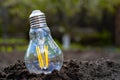 Glass lamps on soil outdoors, close up. Light bulbs on ground on background of nature. Energy of nature. Concept of Royalty Free Stock Photo