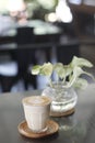 A Glass of Latte near plant on the table