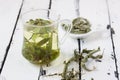 A glass of lemon balm tea Royalty Free Stock Photo