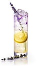 A glass of lemonade with lavender sprigs and a slice of lemon. AI generative image. Royalty Free Stock Photo