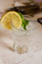 The glass with lemonade, lemon, leaf of mint and ice cubes