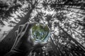 Glass lens ball with forest reflection Royalty Free Stock Photo