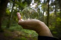 Glass lens ball with forest reflection Royalty Free Stock Photo