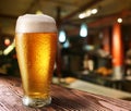 Glass of light beer Royalty Free Stock Photo