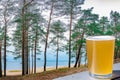 Glass of light beer against view of coniferous forest with pine trees and blue sea. Baltic sea coast