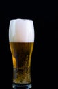 Glass of light beer on a black background Royalty Free Stock Photo
