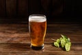 Glass of light beer on a dark pub. Glass beer on wood background with copy space Royalty Free Stock Photo