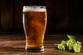 Glass of light beer on a dark pub. Glass beer on wood background with copy space Royalty Free Stock Photo