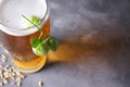 Glass of light beer on a gray background, space for text Royalty Free Stock Photo