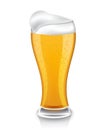 Glass of light beer Royalty Free Stock Photo