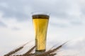 A glass of light beer and wheat spikelets