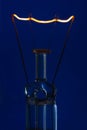 Glass light bulb with burning filament upright with blue background Royalty Free Stock Photo