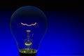 Glass light bulb with burning filament upright with blue background Royalty Free Stock Photo