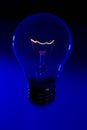 Glass light bulb with burning filament upright Royalty Free Stock Photo