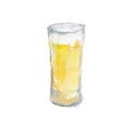 The glass with light fresh beer isolated on a white background, a watercolor illustration.