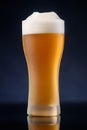glass of light unfiltered beer on a dark background 1