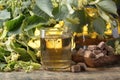 Glass of linden tea with brown sugar . Royalty Free Stock Photo