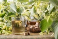 Glass of linden tea with brown sugar Royalty Free Stock Photo