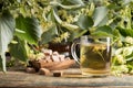 Glass of linden tea Royalty Free Stock Photo