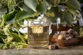 Glass of linden tea with brown sugar . Royalty Free Stock Photo