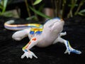 Glass lizard made of white glass with colored spots on the back and legs