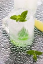 Glass made of ice with vodka, lemon and mint Royalty Free Stock Photo