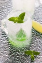 Glass made of ice with vodka, lemon and mint Royalty Free Stock Photo