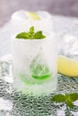 Glass made of ice with vodka, lemon and mint Royalty Free Stock Photo