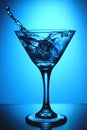 Glass of martini with splash Royalty Free Stock Photo