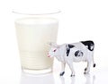 Glass of milk Royalty Free Stock Photo