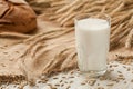 Glass of milk on background ears rye and bread. Royalty Free Stock Photo