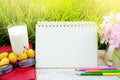 Glass of milk, blank page calendar, yellow fruit,sunglasses, pencils and pink flower on white wood table with green grass nature Royalty Free Stock Photo