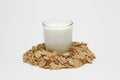 Glass of milk and cereals Royalty Free Stock Photo