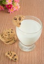 Glass of milk and chocolate chip cookies Royalty Free Stock Photo