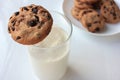 Glass of milk and chocolate chip cookies on white background. View from above. Close-up. Copy space Royalty Free Stock Photo