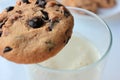 Glass of milk and chocolate chip cookies on white background. View from above. Close-up. Copy space Royalty Free Stock Photo