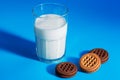 Glass of milk and chocolate cookies with cream filling on blue background