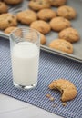 A glass of milk and a cookie with a bite taken out of it sit on Royalty Free Stock Photo