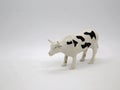 Glass of milk with dairy cow. Milk cow. Black and white cow with spots. Spotted cow. Ruminant farm animal. Drink. Milk. Toy cow. I