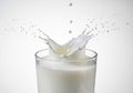 A glass of milk with a dramatic splash effect, where droplets are Royalty Free Stock Photo